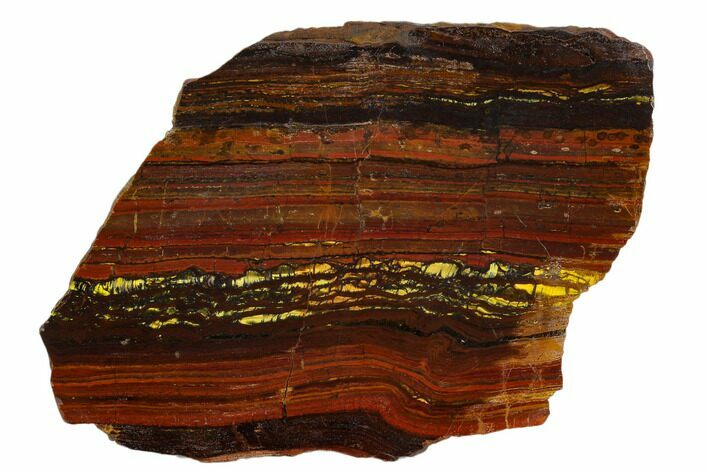 Polished Tiger Iron Stromatolite - Billion Years #129273